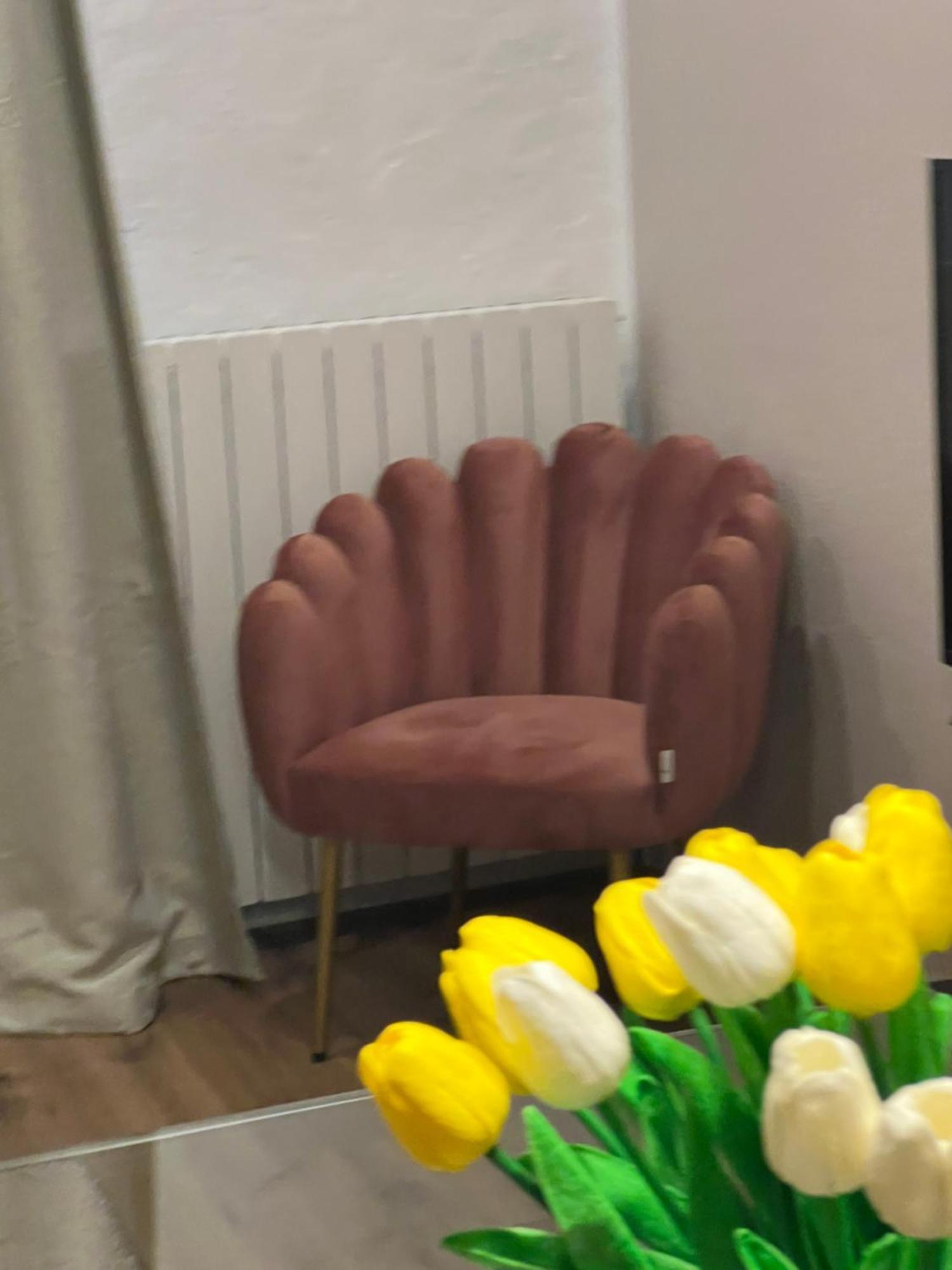 Residenza San Rocco "Suite Sul Lago" オルタ・サン・ジューリオ エクステリア 写真